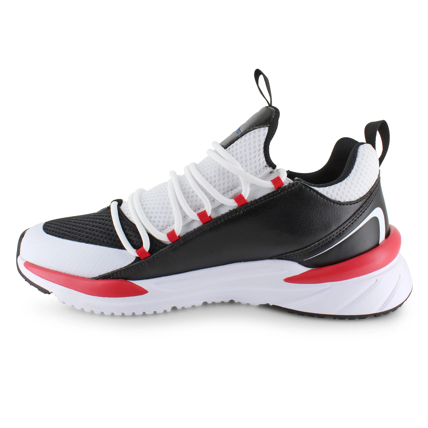 Champion Kinna Verve 2 Champion Kinna Verve - Image 2