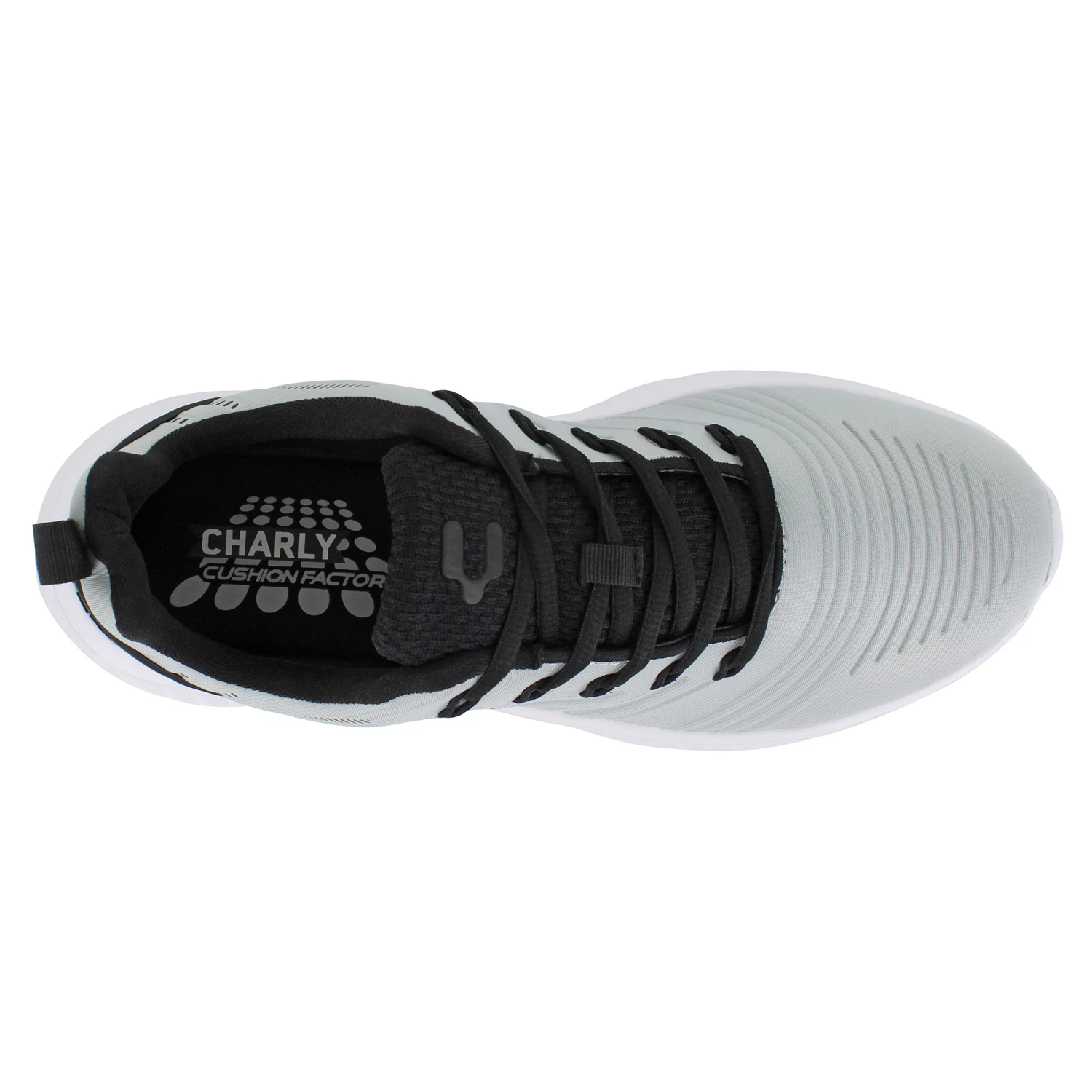 Charly Falcon 5 Charly Falcon - Image 5