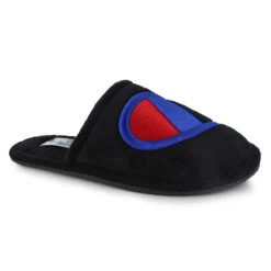 Champion The Sleepover